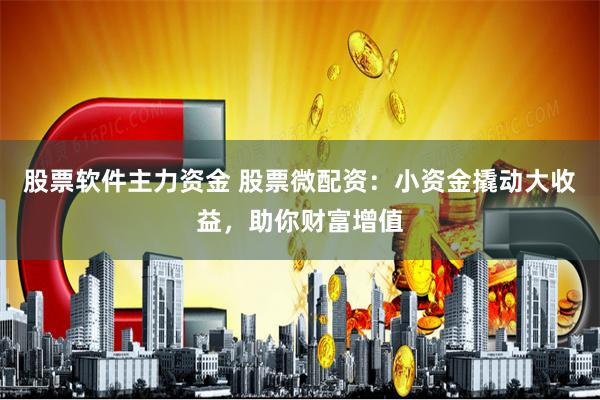 股票软件主力资金 股票微配资：小资金撬动大收益，助你财富增值