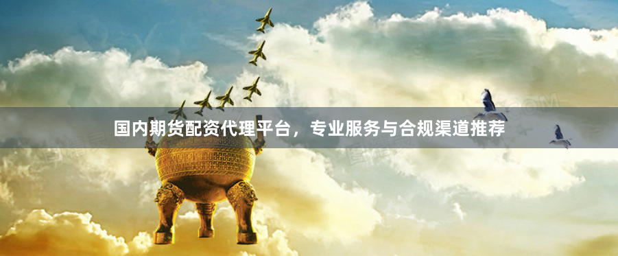 国内期货配资代理平台，专业服务与合规渠道推荐